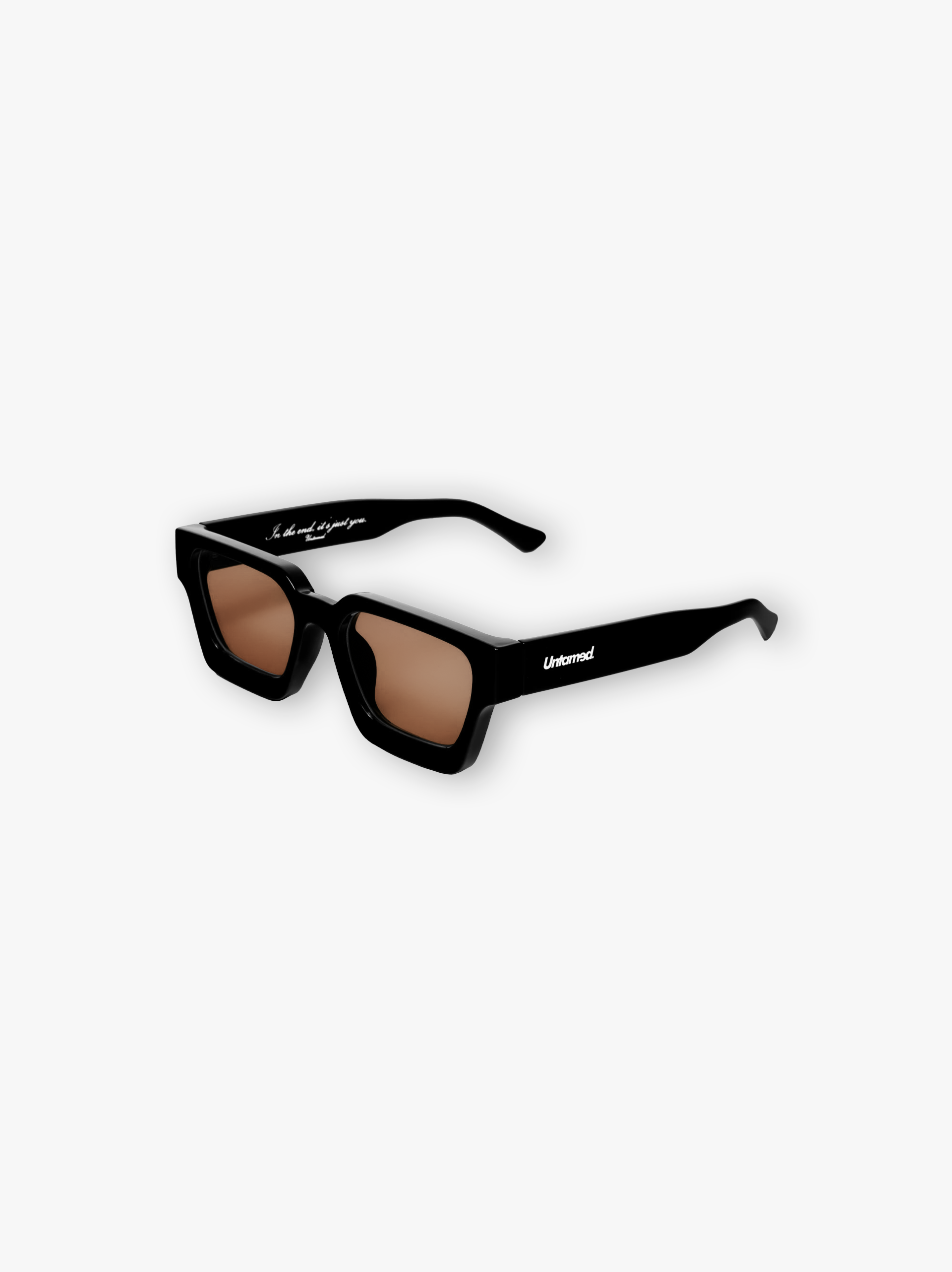 BROWN TINT SUNGLASSES