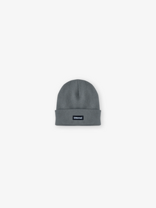 UNTAMED GRY BEANIE V2