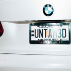 CHROME LICENSE PLATE FRAME
