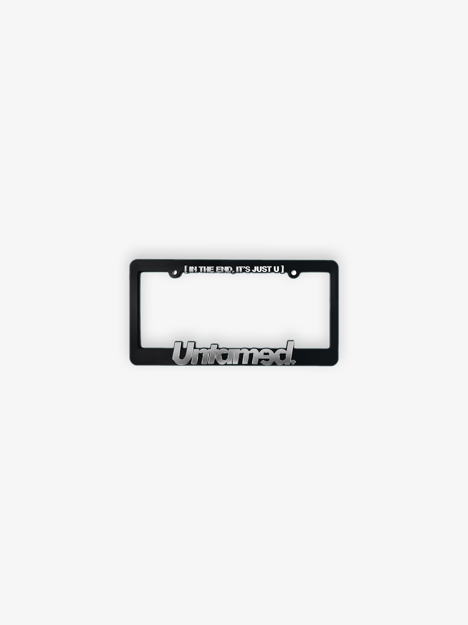 CHROME LICENSE PLATE FRAME
