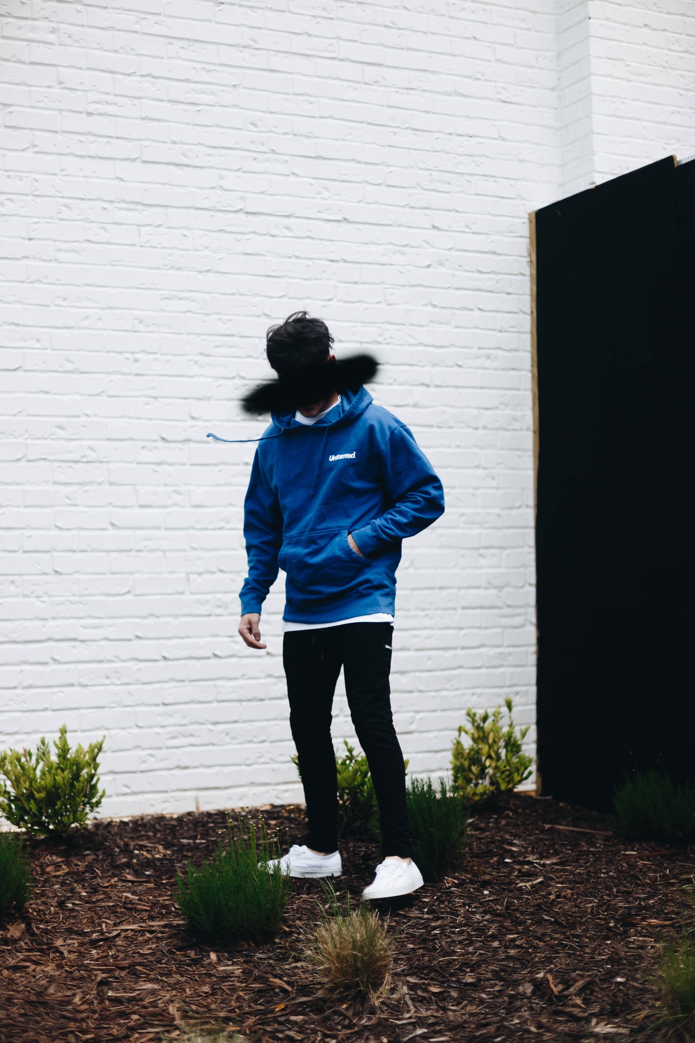 Untamed - Blue Hoodie